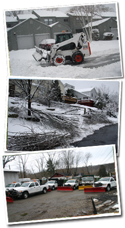 Plowed Driveway